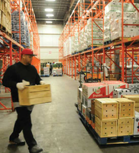 ecommerce flexible warehouse worker 3 labourers