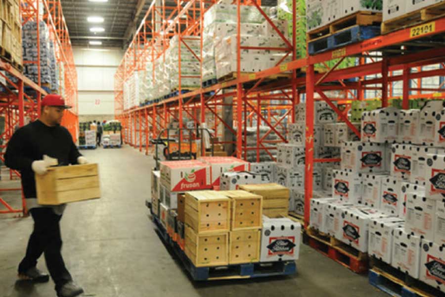 logistics labourers to hire